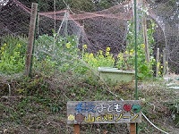 (子)hatake10324.jpg