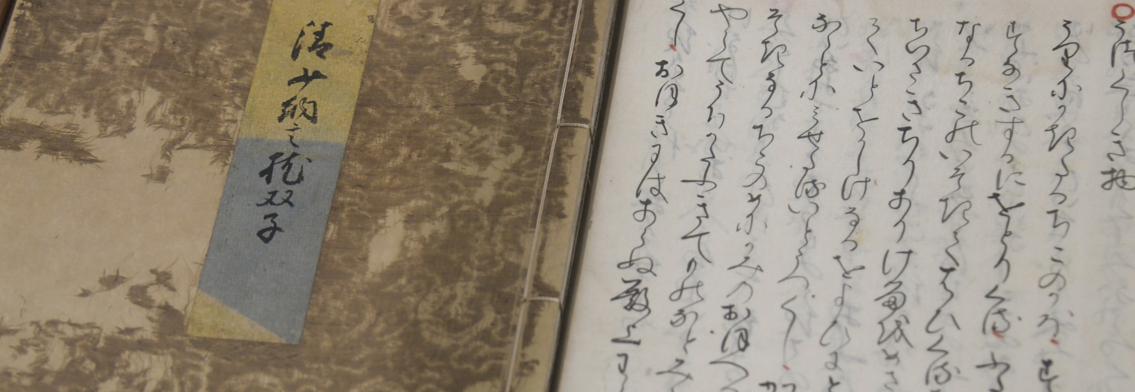 日本文学専攻