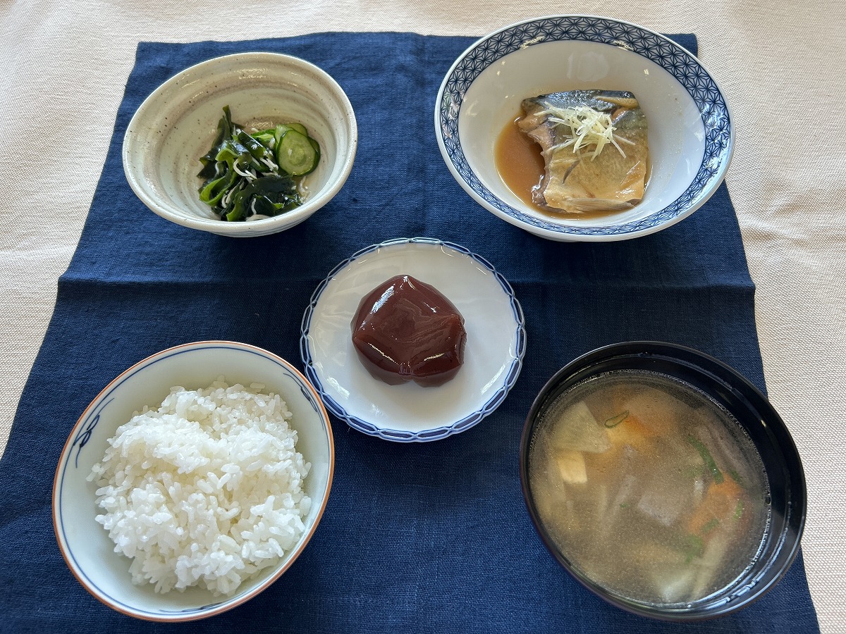 見本