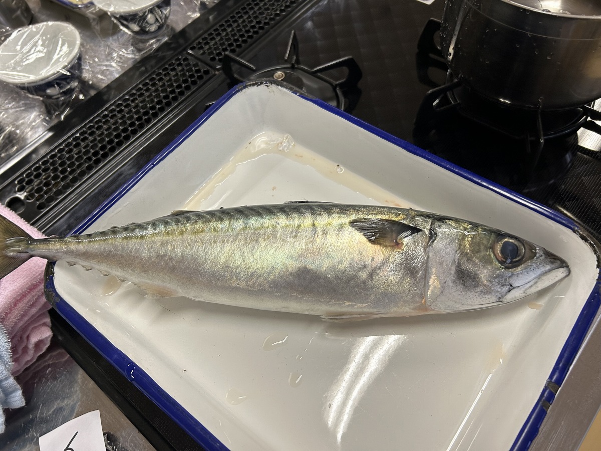さば１