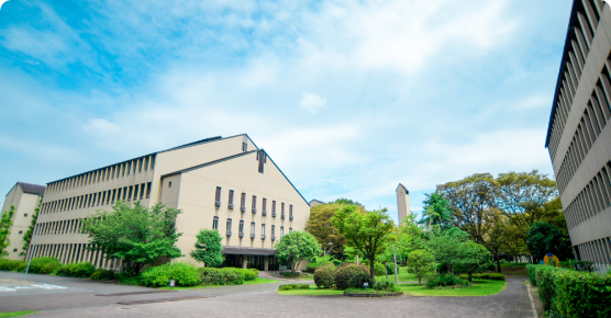 先輩からの大学満喫アドバイス